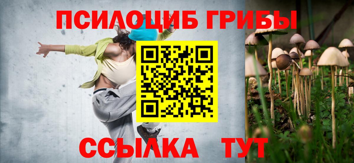 Златоуст  Галлюциногенные грибы мухоморы  Вход с VPN  Галлюциногенные грибы MAGIC MUSHROOMS 
