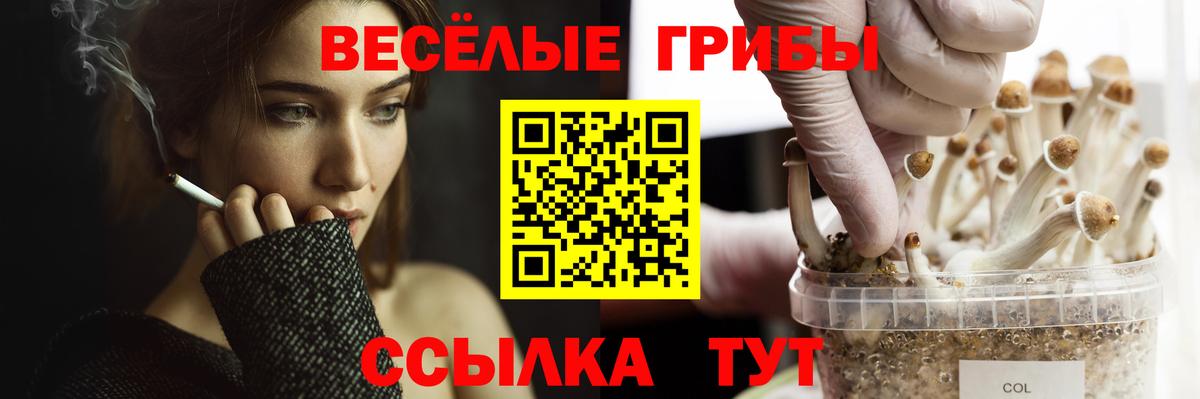 Псилоцибиновые грибы ЛСД Златоуст